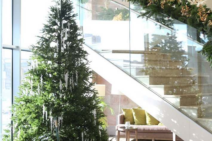 Фото №5 зала Hilton Garden Inn Volgograd