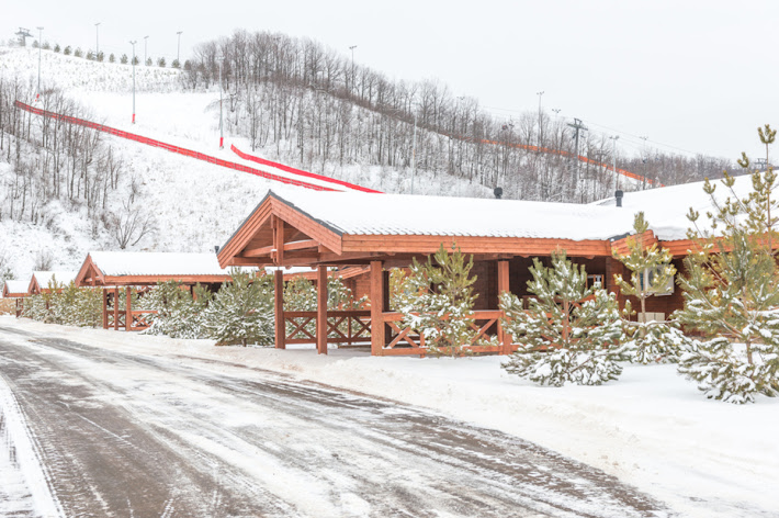 Фото №9 зала Альпийские дома "Западный поселок"