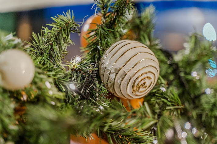 Фото №14 зала Птичка