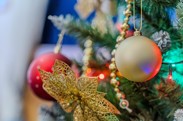 Фото №13 зала Родня