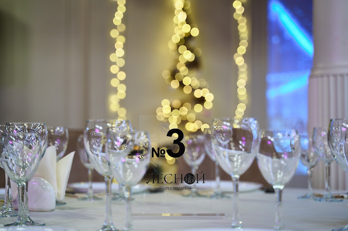 Фото №13 зала Ресторан Лесной