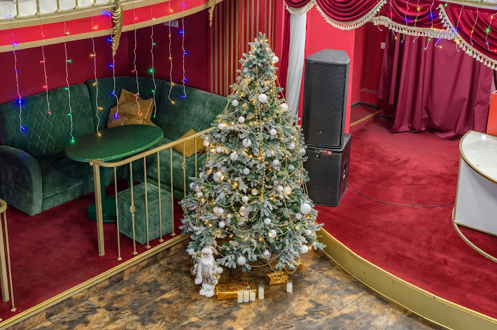 Фото №12 зала MaxxRoyal