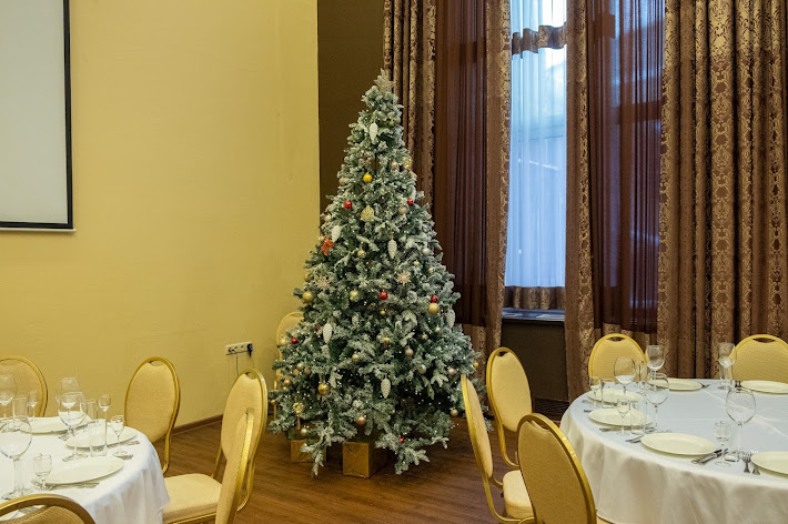 Фото №15 зала Бристоль-Жигули