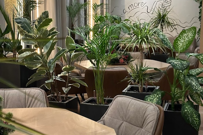 Фото №12 зала Корова