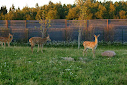 Фото №8 зала Vinity Forest