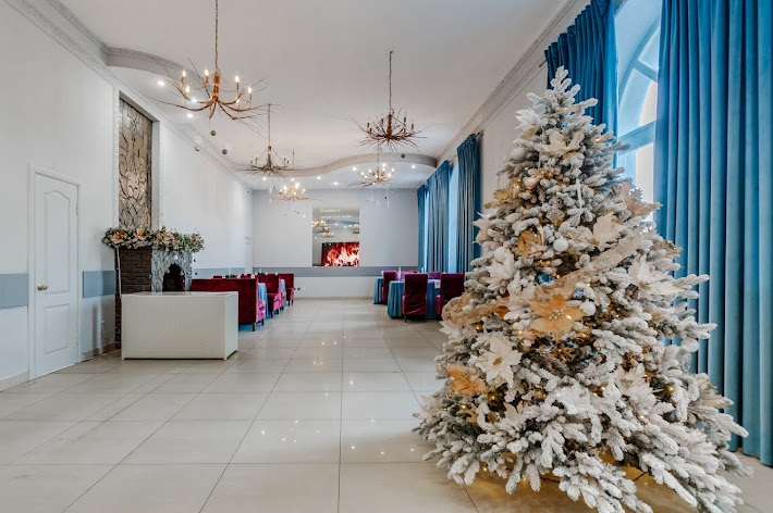 Фото №10 зала Аэлита