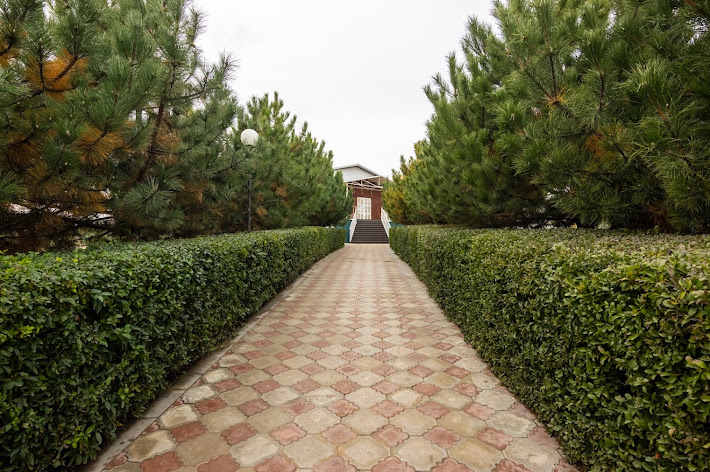 Фото №12 зала Чайка