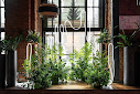 Фото №10 зала ZAFFERANO LOFT