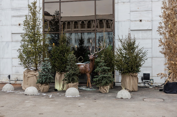 Фото №19 зала Большой VIP-зал