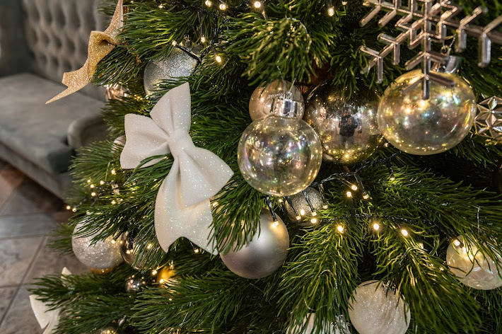 Фото №10 зала Ya cafe-3