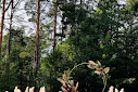 Фото №16 зала Hevaa hall