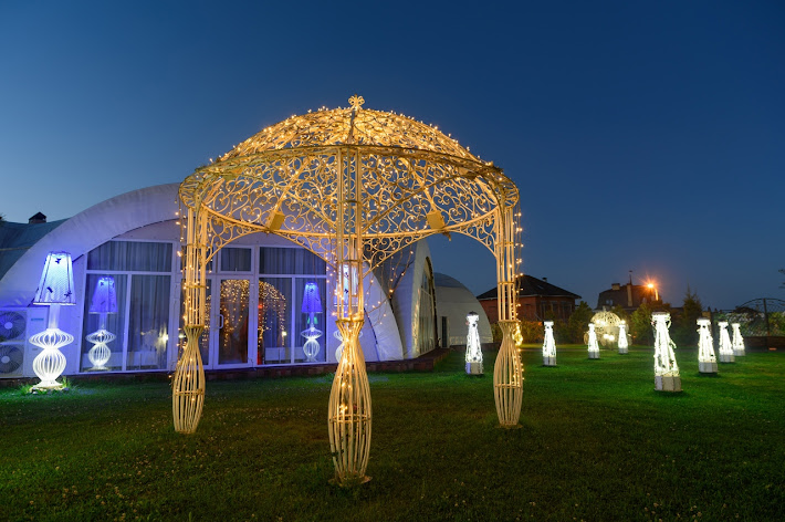 Фото №9 зала Аврора