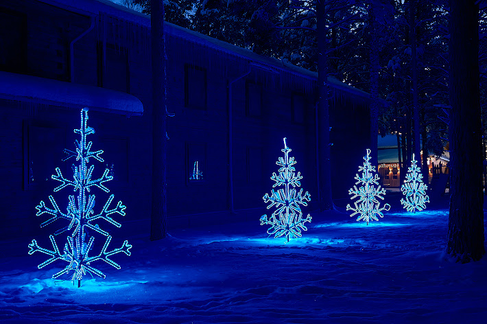 Фото №4 зала Ресторан Лесной