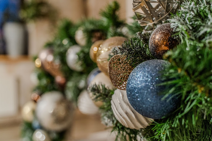 Фото №15 зала Птичка