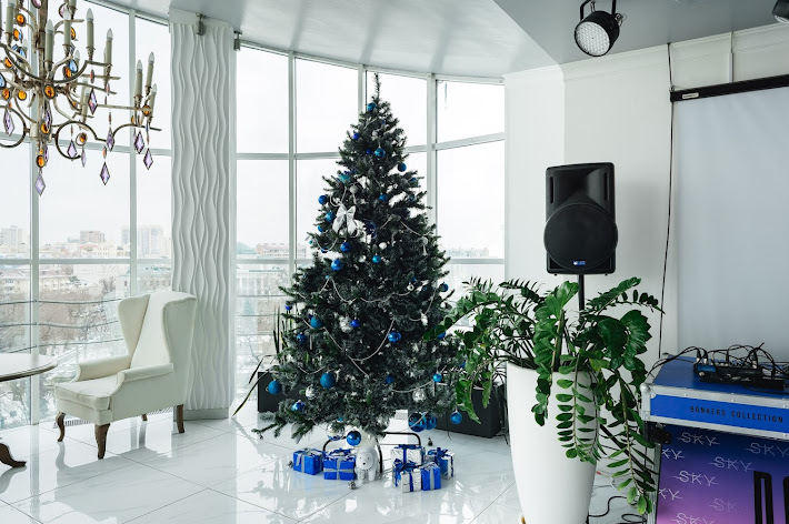 Фото №1 зала SKY