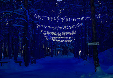 Банкетный зал Ресторан Лесной для корпоратива