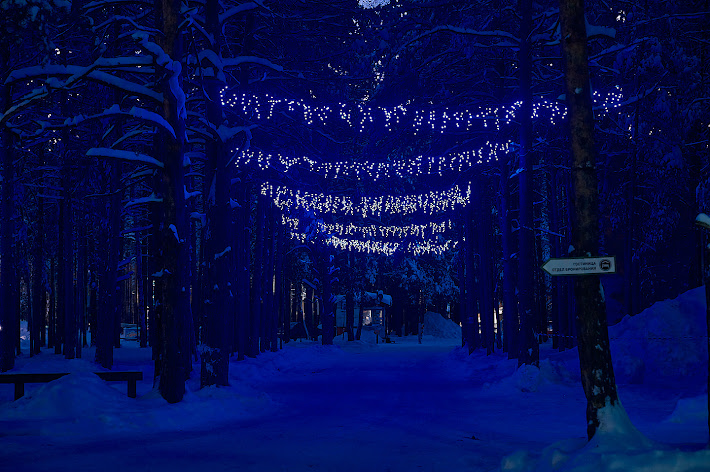 Фото №1 зала Ресторан Лесной