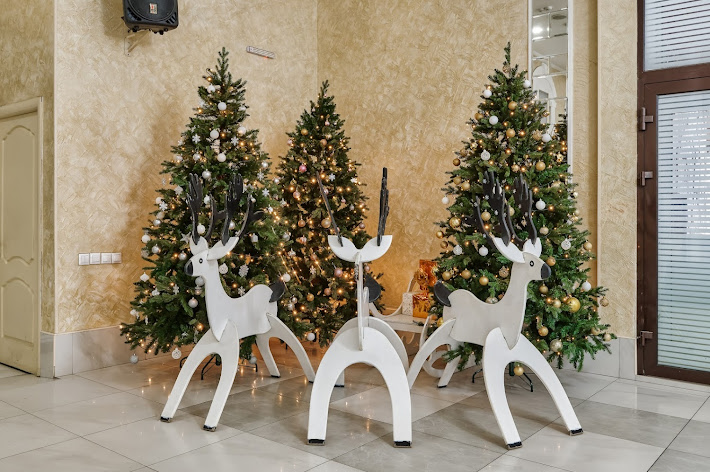 Фото №8 зала Cronwell Park Ника