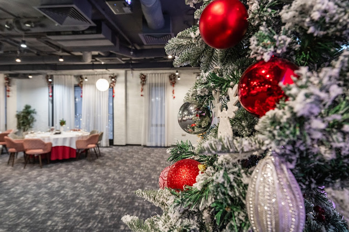 Фото №11 зала АндерСон Resort