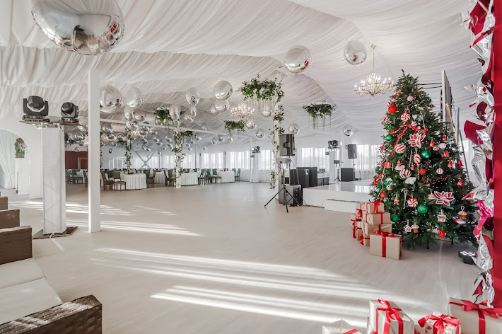 Фото №13 зала Аэлита